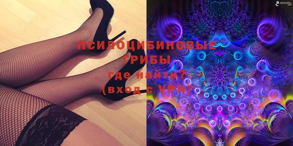 дмт Абаза