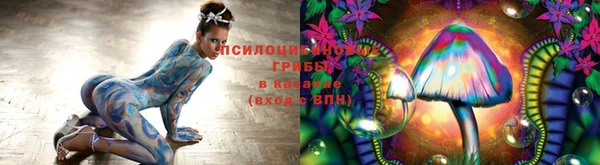 дживик Абинск