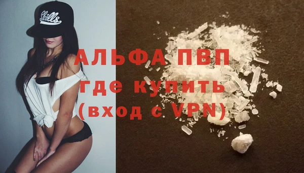 дмт Абаза