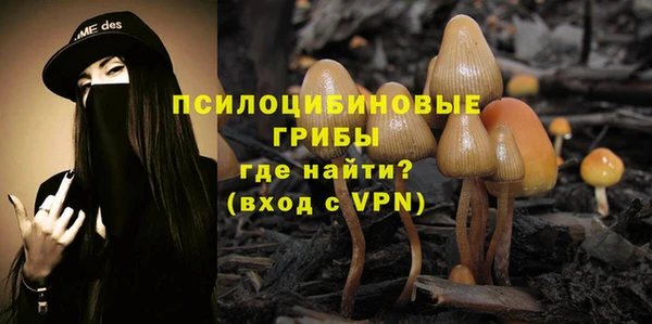 дживик Абинск