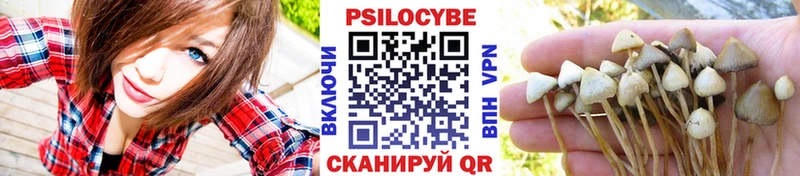 Галлюциногенные грибы GOLDEN TEACHER  mega вход  Дальнереченск  сколько стоит 