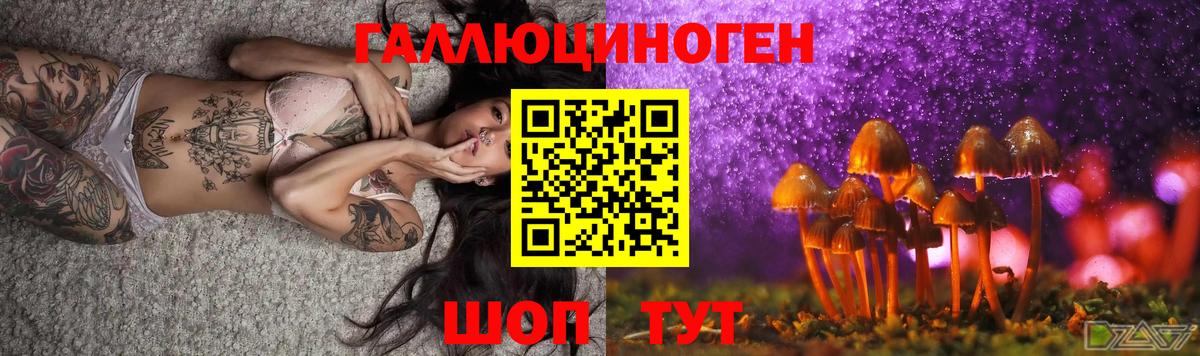 купить наркотики цена  Псилоцибиновые грибы Magic Shrooms  Вход с VPN  Дальнереченск 